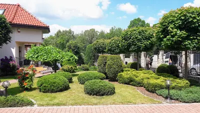 OGRODY SZPAKOWSKI/ ZAKŁADANIE I PIELĘGNACJA OGRODÓW